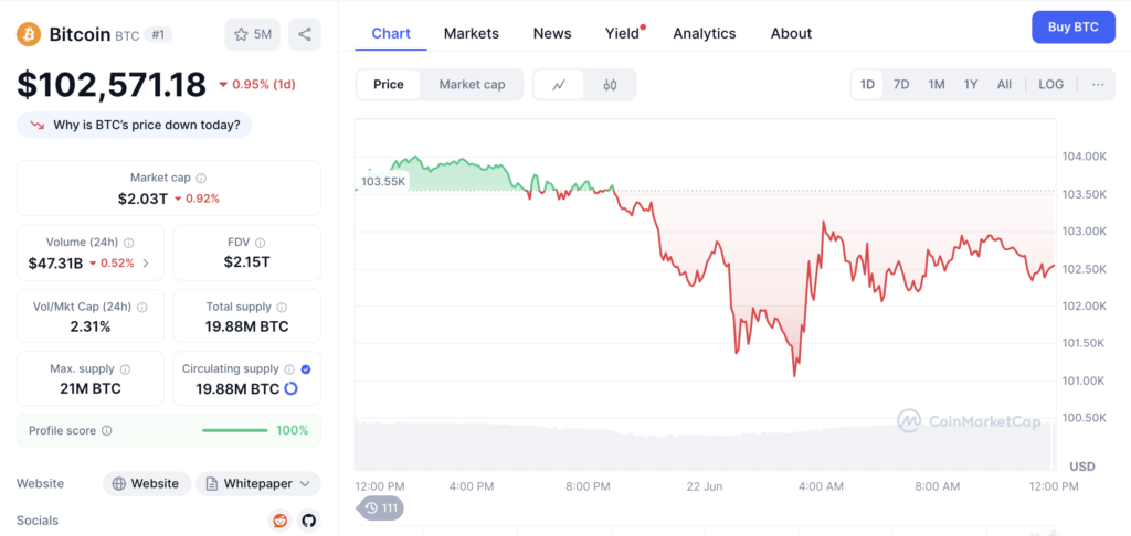 نمودار قیمت و اطلاعات بازار بیت کوین - منبع: CoinMarketCap
